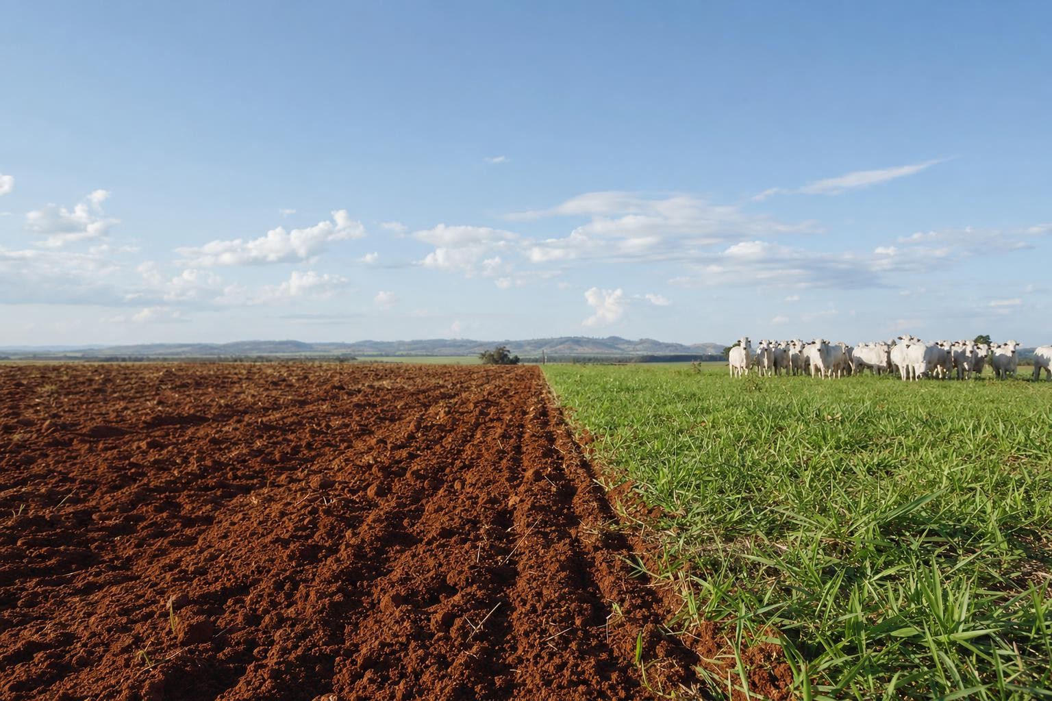 Produtor rural comparando taxas de linhas de crédito rural com apoio de IA